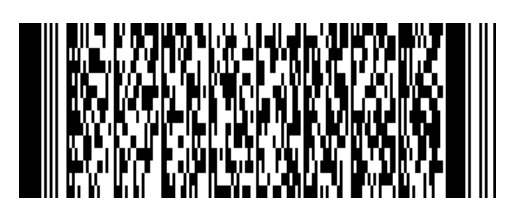 2021 Petrinja Bar code